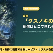 クスノキの番人 配信
