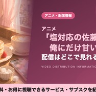 塩対応の佐藤さんが俺にだけ甘い 配信