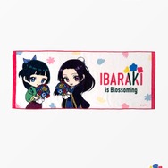 ビッグタオル