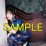 セブンネット特典：L判ブロマイド