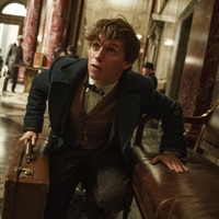 (C) 2016 Warner Bros. Ent. All Rights Reserved.Harry Potter and Fantastic Beasts Publishing Rights (C) JKR