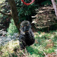 大山名物「かわらけ投げ」（C）2017 TOHO CO., LTD.