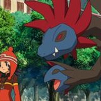 放映作品はファン投票で決定　2011年ポケモン映画　黒、白どちらがＴＶに登場？