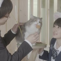 『猫カフェ』（C）2018「猫カフェ」製作委員会