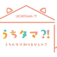 『うちタマ?! ～うちのタマ知りませんか？～』（C）ソニー・クリエイティブプロダクツ／「うちタマ?!」製作委員会（C）Sony Creative Products Inc.