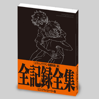 「ヱヴァンゲリヲン新劇場版： 破 全記録全集 ビジュアルストーリー版」3,500円（税別）（C） カラー