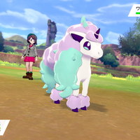 「ポケモン ソード・シールド」“ポニータ（ガラルのすがた）”情報公開！ ファンシーな見た目のエスパータイプ 画像
