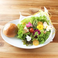 「Spring menu あおむしさんのゆめの巻」1,580円（税抜）（C）さくらももこ（C）さくらプロダクション