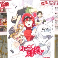 『はたらく細胞』新情報発表会！（C）清水茜／講談社・アニプレックス・davidproduction （C）AbemaTV Photo Daisuke ARAKANE