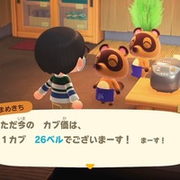 『あつまれ どうぶつの森』小ネタ集・第2弾！飛行機雲やどうぶつの足跡など14項目で一挙に紹介