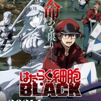 「はたらく細胞BLACK」21年1月TVアニメ化！ 津田健次郎の“BLACK”ナレーションPV公開 画像
