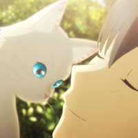 Netflixアニメ映画「泣きたい私は猫をかぶる」山寺宏一、寿美菜子ら演じる個性的なキャラたちの画像が一挙公開 画像