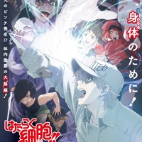 「特別上映版『はたらく細胞!!』最強の敵、再び。体の中は“腸”大騒ぎ！」キービジュアル（C）清水茜／講談社・アニプレックス・davidproduction