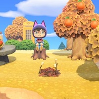 『あつまれ どうぶつの森』公式の「Ninten島」は“あえて地味に見せかける技術”がすごい！ 夢を使って訪問してみよう