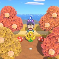 『あつまれ どうぶつの森』公式の「Ninten島」は“あえて地味に見せかける技術”がすごい！ 夢を使って訪問してみよう