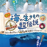 『驚き！海の生きもの超伝説 劇場版ダーウィンが来た！』