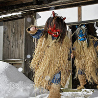 『モンハンライズ』雪鬼獣・ゴシャハギの