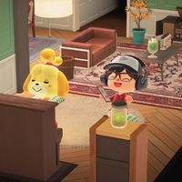 『あつ森 ハッピーホームパラダイス』で推しキャラの別荘を作ったら、沼に囚われてしまった話