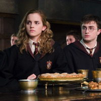 TM & (C) 2007 Warner Bros. Ent. , Harry Potter Publishing Rights (C) J.K.R