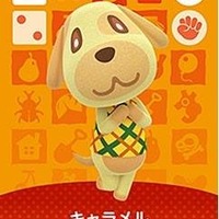 第13位　キャラメル