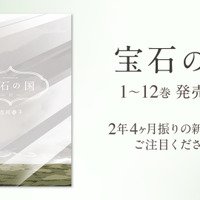 『宝石の国』12巻表紙（C）2017 市川春子・講談社／「宝石の国」製作委員会