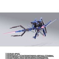 「METAL BUILD GNアームズ TYPE-E」（武装全面展開）（C）創通・サンライズ