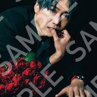 「TVガイドVOICE STARS Dandyism vol.6」セブンネットショッピング購入特典ポストカード(裏)