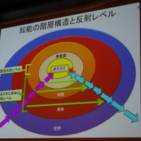 知性の階層構造と反射レベル