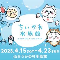 「ちいかわ水族館 in 仙台うみの杜水族館」期間限定で開催（C）nagano / chiikawa committee