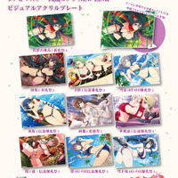 「シノビマスター 閃乱カグラ NEW LINK ビジュアルアクリルプレート」各3,300円（税込）（C）Marvelous Inc.（C）HONEY PARADE GAMES Inc.