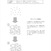 アニメライターの仕事術-第11回　箇条書きがすぐできる人と、できない人