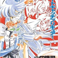 小説 ハートキャッチプリキュア！