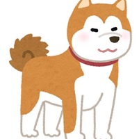 「“犬”キャラといえば？」