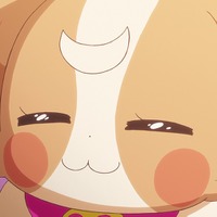 『わんだふるぷりきゅあ！』第3話「言っちゃダメェ～！」先行場面カット（C）ABC-A・東映アニメーション