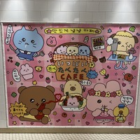 テーマカフェ「チェゴシムのいっぱいたべたべ CAFE」取材の様子