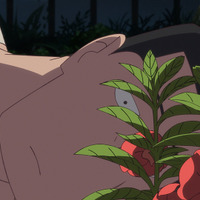 「オッドタクシー」コンビのオリジナルアニメ映画「ホウセンカ」25年秋公開！ある男の愛の物語描く 画像