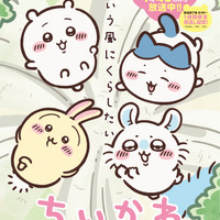 おかえり！ ちいかわアニメ放送が7月15日より再開！“草むしり検定”の行方や今夏オープン「ちいかわパーク」情報も 画像