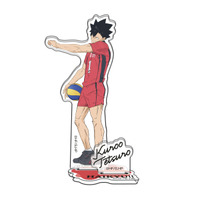 出崎統監督「家なき子」の感動が今蘇る―― 「COMPLETE DVD BOOK