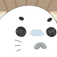 「小3アシベ QQ ゴマちゃん」TVアニメ化＆26年春放送！制作はDLE　「アシベ」シリーズ最新作 画像