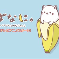 主人公は梶裕貴、「ばなにゃ」2016年7月よりTVアニメ放送開始　バナナに潜むにゃんことは? 画像