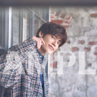 宮野真守、スタイリッシュなビジュ撮り下ろし！土岐隼一はリラックスムード♪ ムック本「Ani-PASS #31」 画像