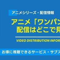 アニメ「ワンパンマン」の配信はどこで見れる？無料視聴できるサービス・サブスクを紹介！ 画像