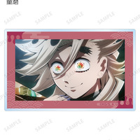 「鬼滅の刃」炭治郎、義勇、童磨、猗窩座…13名のトレーディング新アイテムが登場♪ 場面写ホログラム缶バッジなど3種 画像