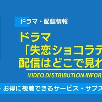 ドラマ「失恋ショコラティエ」の配信はどこで見れる？無料視聴できるサービス・サブスクを紹介！ 画像