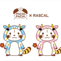 (c) NIPPON ANIMATION CO., LTD. 　(c) PACHI PACHI FACTORY