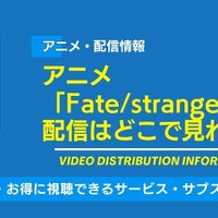 アニメ「Fate/strange Fake」の配信はどこで見れる？無料視聴できるサービス・サブスクを紹介！ 画像