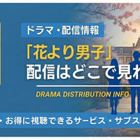 ドラマ「花より男子」の配信はどこで見れる？Netflix・Amazonプライムの状況と全話無料視聴方法【2026最新】 画像