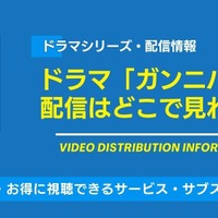 ドラマ「ガンニバル」の配信はどこで見られる？Amazonプライム・ビデオなどの配信状況とDVDレンタル情報を徹底調査！ 画像