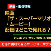 映画「ザ・スーパーマリオブラザーズ・ムービー」はどこで見れる？AmazonプライムやU-NEXTなど無料視聴できる動画配信サービス一覧 画像