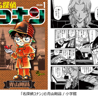 「推せる悪役キャラ」といえば？「ハガレン」エンヴィー、「犬夜叉」奈落を抑えた1位は…“あの美女”「自分の信念がある」「もしかしたら味方なのでは？」【コミックシーモア発表】 画像